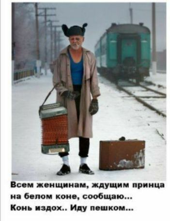_ Всем женшин идущим принц и белая кон сообщ о Конь падеж Иду нюхом