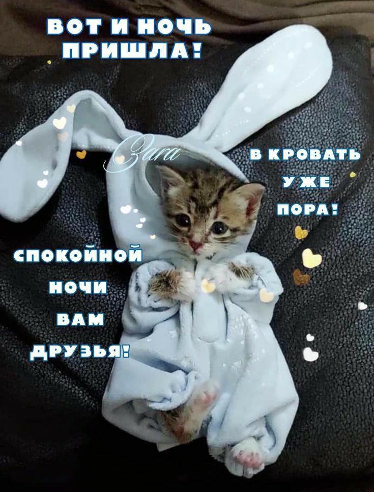 ВОТ НОЧЬ _ ПРП ПА