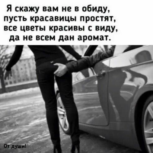 Я скажу вам не в обиду пусть красавицы простят все цветы красивы с виду да не всем дан аромат