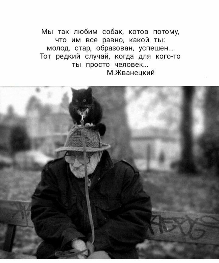 Мы так любим собак котов потому что им все равна какой ты молод стад образован успешен тот редкий случаи кагда для кого то прост человек МЖваиеЦкий