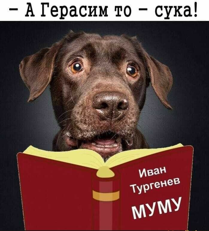 А Герасим то сука