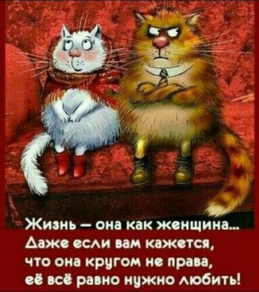 Жизнь она как жсищииь Аажс щи пм кижпся что он кригои не при вс рино ичжио мобить