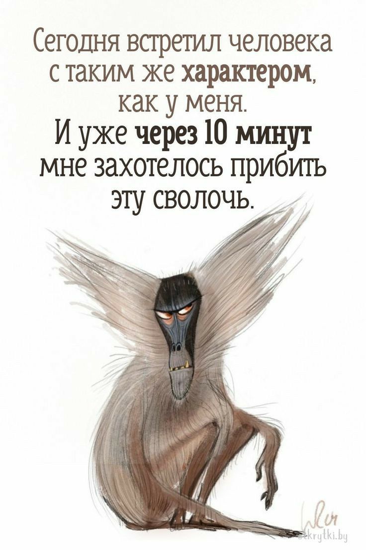 Сегодня впретл человека с таким же характером как у МЕНЯ И уже через 10 минут мне захотелось прибить эш сволочь