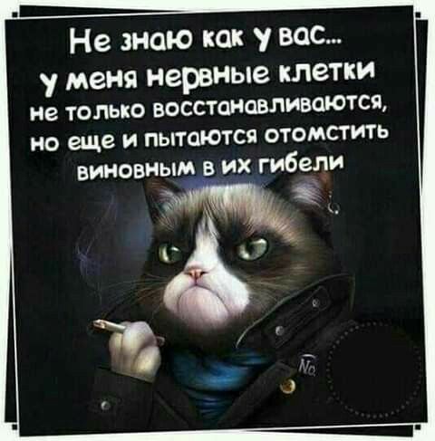 Не знаю как у вас у меня нервные клетки не ТОЛЬКО ВОССТаМаВЛИВОЮТСП но еще И пытаются ОТОМСТИТЬ виновным в их гибели