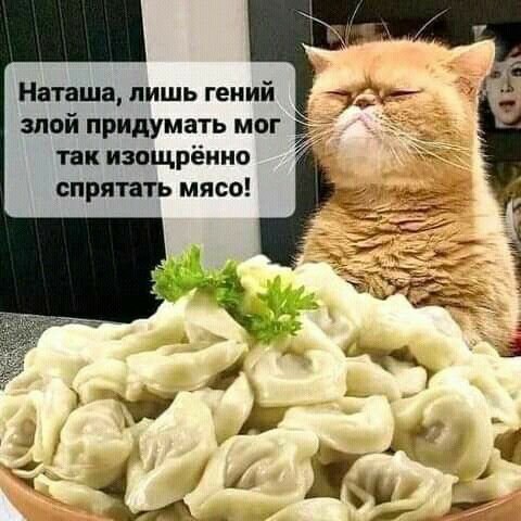 Наташа лишь гений злой придумать мог пк изощрёиио спртть мясо