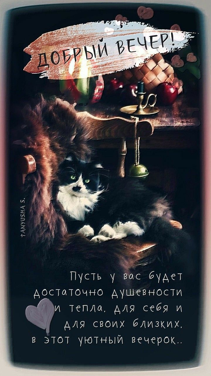 Пусть у вас Будет достаточно душевности и тепла мя себя и АЛЯ своих Близких в этот уютный вечерок