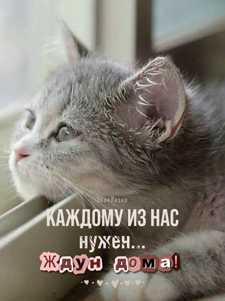 идна п ждЪму из ндс нужен л а