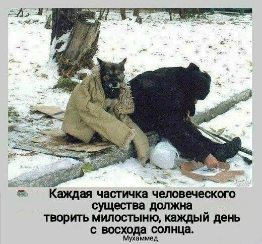 тк Каждая частичка человеческого должна творить милостыню тждый дет с восход оолщн муквммд