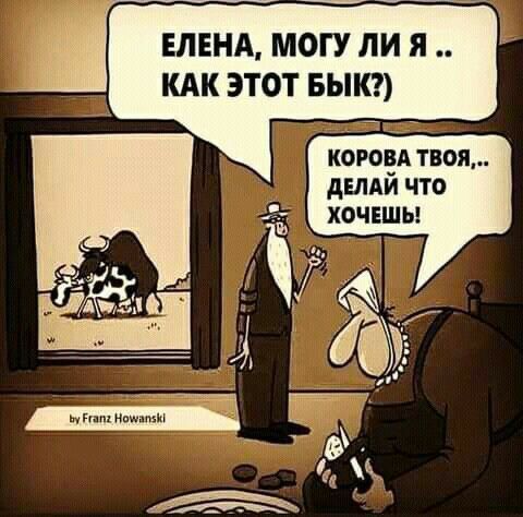 ЕЛЕНА МОГУ ЛИ Я КАК ЭТОТ БЫК котёл твоя дшди что _ хочешь