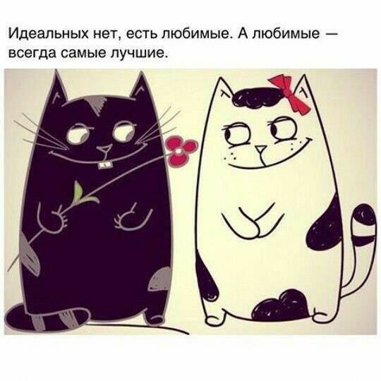 Идеальных нет есть любимые А любимые всегда самые лучшие