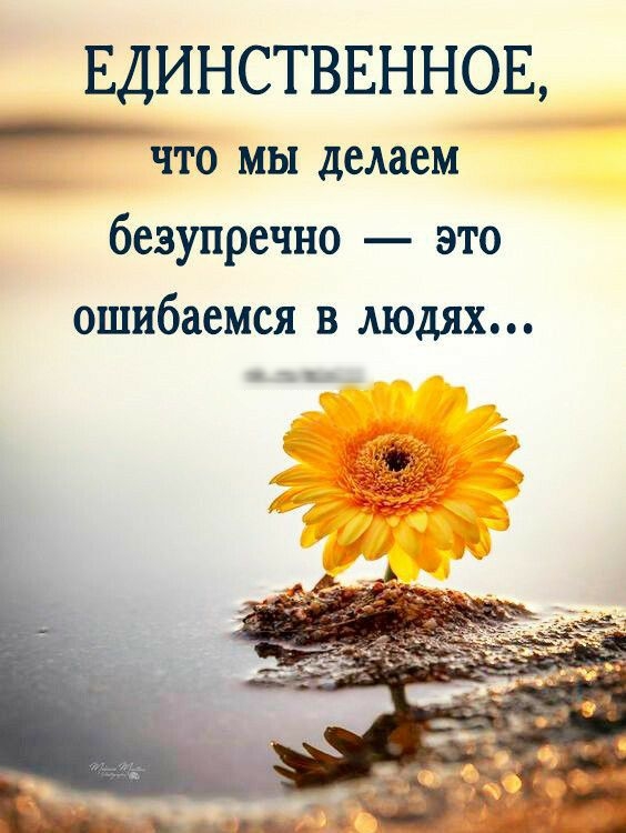 ЕДИНСТВЕННОЕ _ что мы делаем безупречно это ошибаемся в людях вишмым