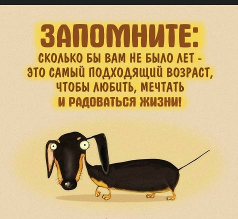 ЗАППМНИТЕ СКОАЬКО вы ВАМ НЕ БЫАО АЕТ ЭТО САМЫЙ ПОДХОАЯЩЦП ВОЗРАСТ ЧТОБЫ АЮБЦТЬ МЕЧТАТЬ радоваться ЖИЗНИ