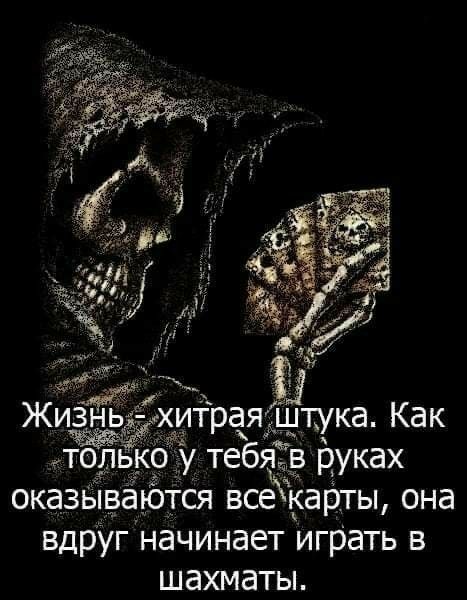 ЖИЗНЬ ХИТраЯ Ётука Как только у тебя в руках оказьиваются все карты она вдруг начинает играть в шахматы