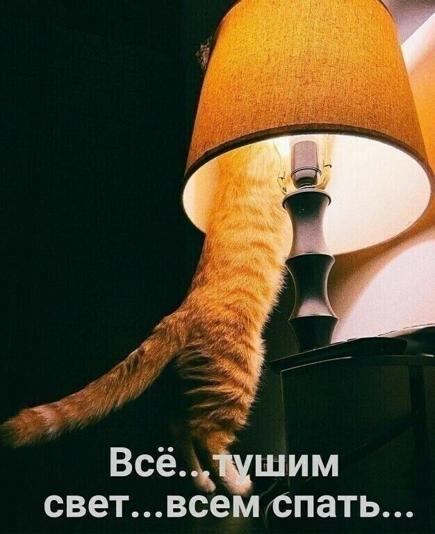 Всёчшим светвсем спать