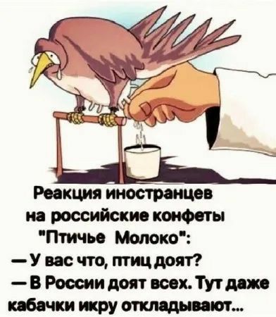 на российские конф ты Птичи Молоко У ис что птиц дот В России дит всех бачки жру отв днищ