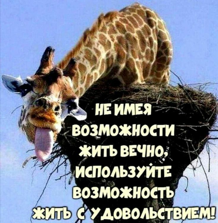 ВОЗМОИОСТИ ИТЪ ВЕШО