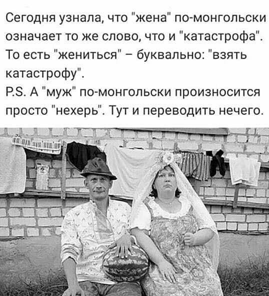 Сегодня узнала что жена по монгопьски означает то же слово что и катастрофа То есть жениться буквально взять катастрофу РЗ А муж по монгопьски произносится просто нехерь Тут и переводить нечегоь