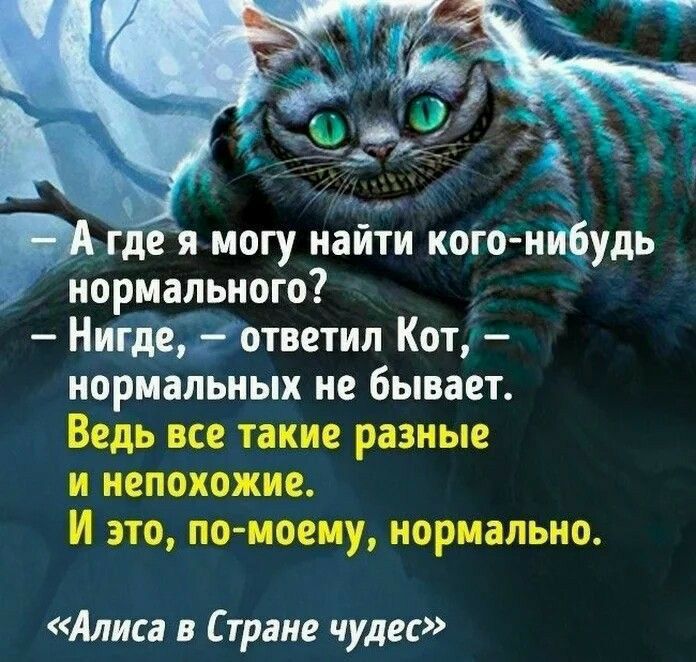 Что нибудь понормальней. Высказывания Чеширского кота. Фразы Чеширского кота. Чеширский кот цитаты. Цитаты кота из Алисы в стране чудес.