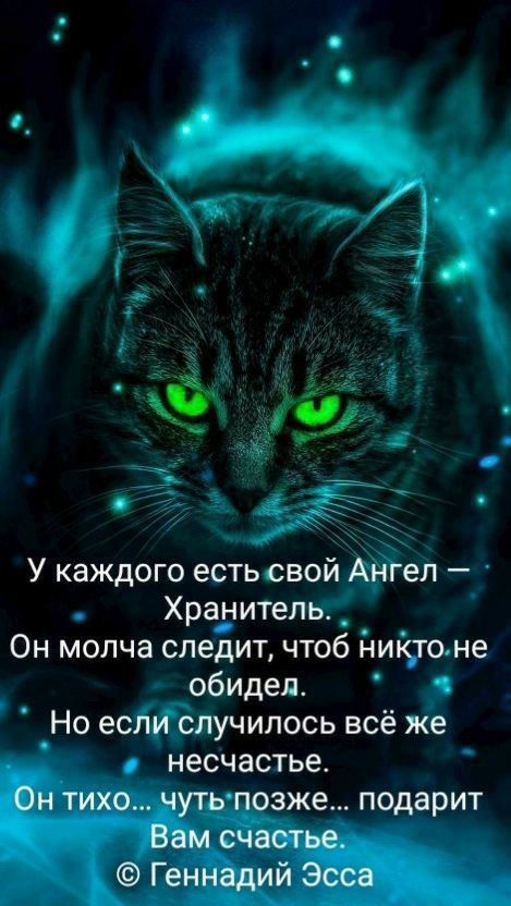 У каждого есть свой Ангел Хранитель _ Он молча следит чтоб Нийто не обидел Но если случилось всё же несчастье Он тихо чуть позже подарит Вам счастье Геннадий Эсса