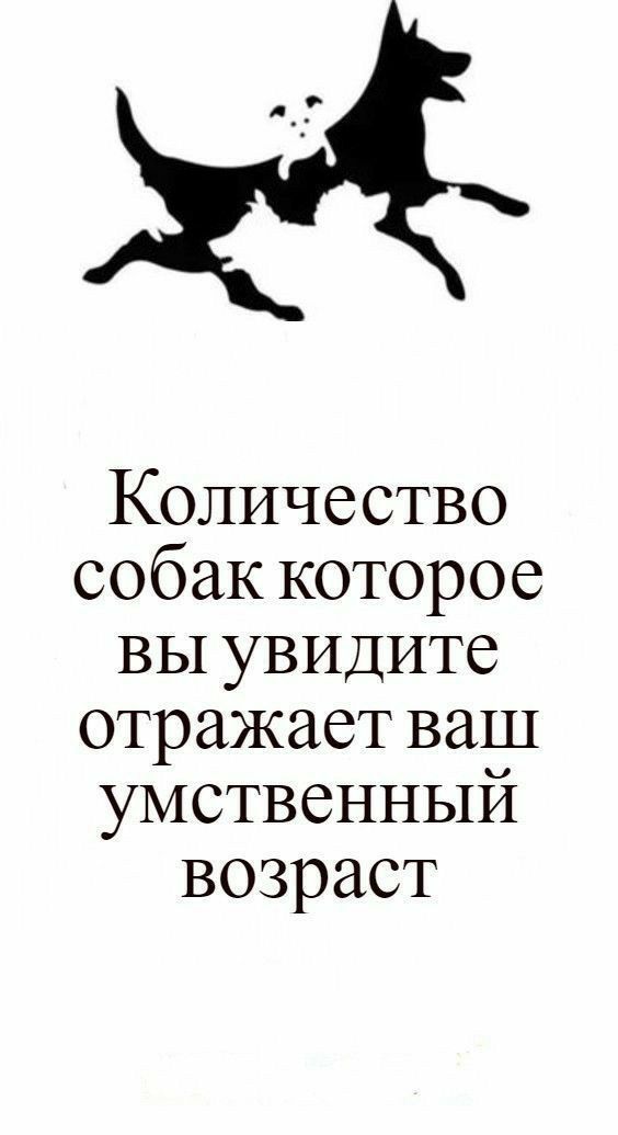 Количество собак которое вы увидите отражает ваш умственный возраст