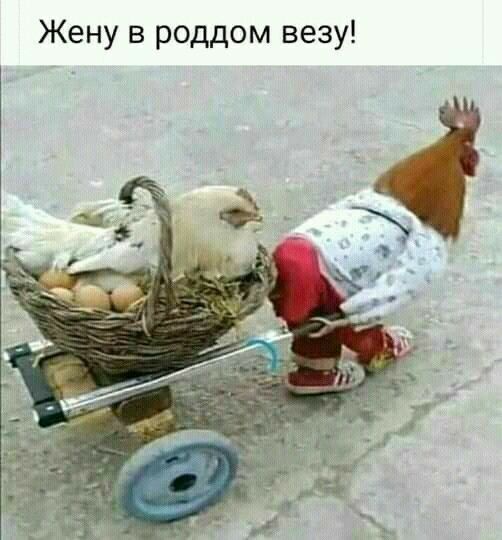 Жену в роддом везу