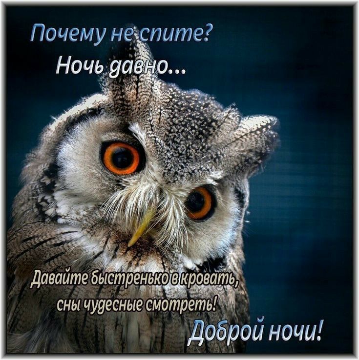 давайте Быстре ко 3 кроігать сны чудесные смотреть Щ Доброй ночи