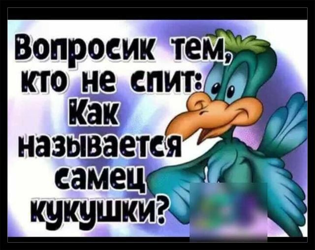 Вопросик КТО не СПИТБЁ Как 3 НЗЗЫВЗЕТС
