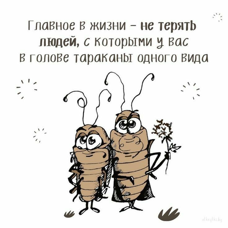 Главное В жизни не Терять людей с которыми вас в голове тараканы одного вида