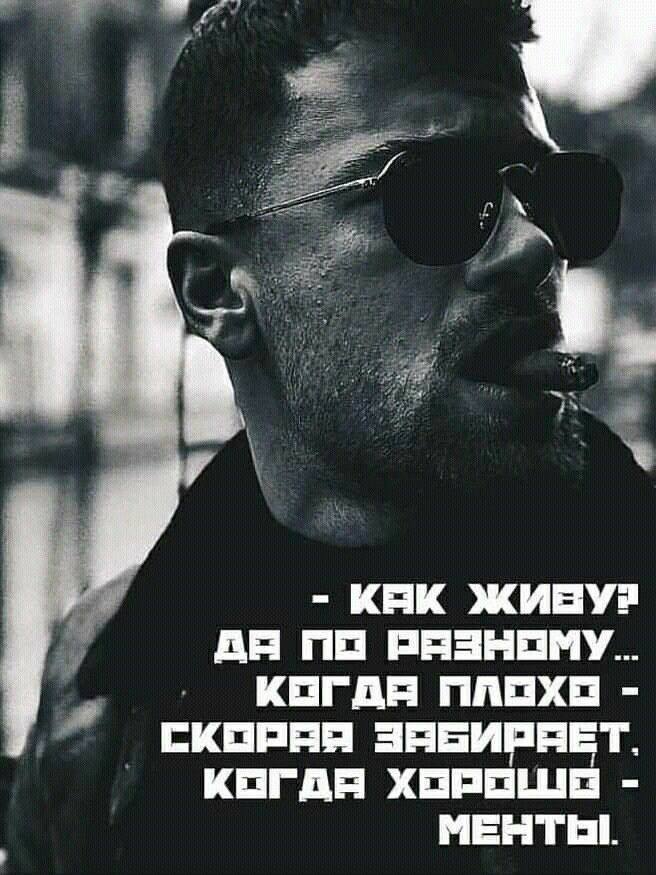 кпк живу дп пп ппэнпну кпгдп пппхп кпппп эпнирпцт кпгдп хпппшп менты