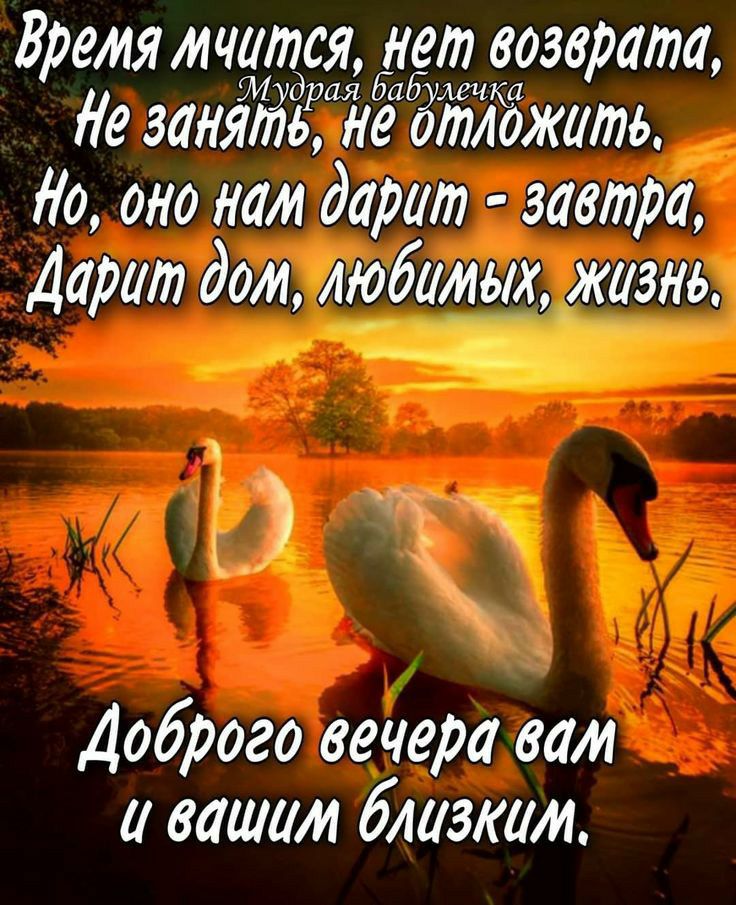 Время мчится нет возврата догонят ЗР недтложать Яо оно нам дарит завтра Дарит дом любимых жизнь Доброго вечера вам и вашим близким