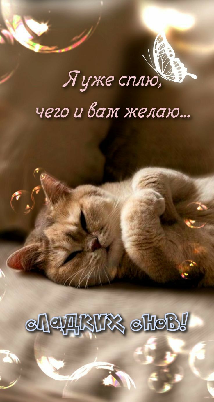 желаю Хуже сплю чего и бат