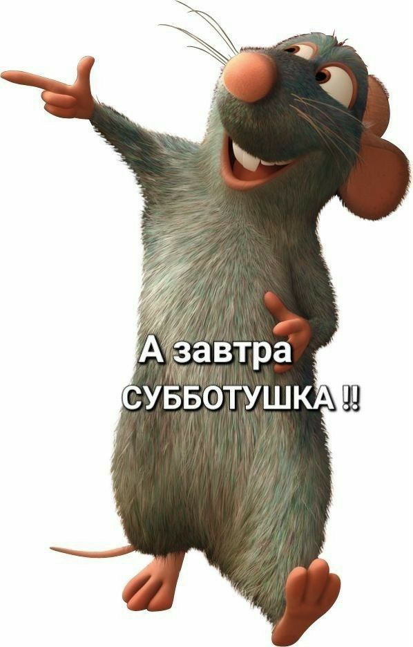 автра СУББОТУШКА Ш