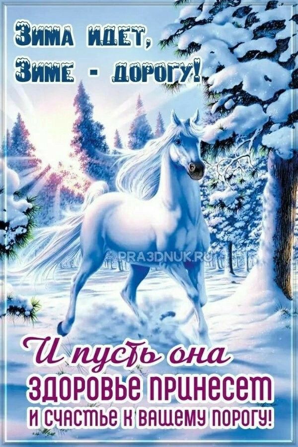 Зита идёт ГБ Зита ШіРіііУг галусйрана ЗСЮРЦВЬЭПР11НЭСЭТЪ11т и_ _счнстье н вншемч порогу