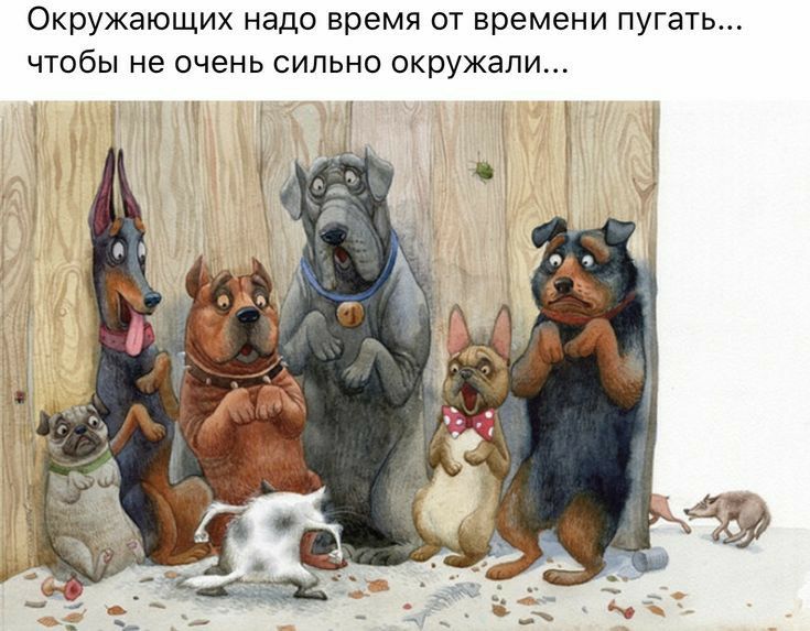 Окружающих надо время от времени пугать чтобы не очень сильно окружали
