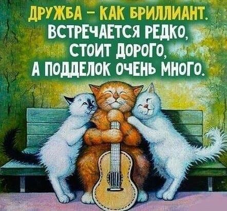 т ВСТРЕЧАЕТСЯ идиотки стоит дорогожл А полдник очЕНь многом