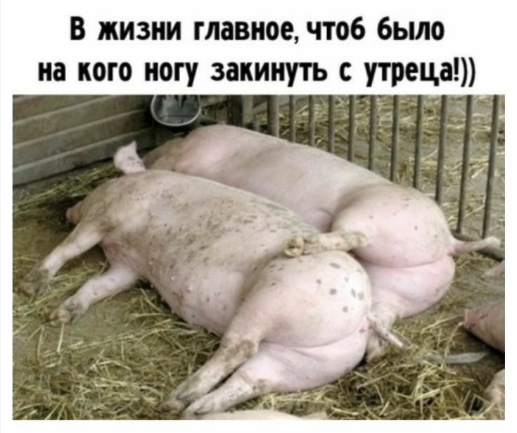 в жизни главное чтоб бьшо на кого ногу закинуть с утреца