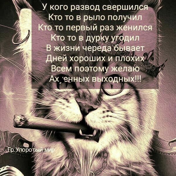 У кого развод свершила Кто то в рыло получи то первый раз ж Кто то в душу ут жизни череда дней хороших и ппоХйЪ Всем поэтомудвераю Ахеннуых ходнітж