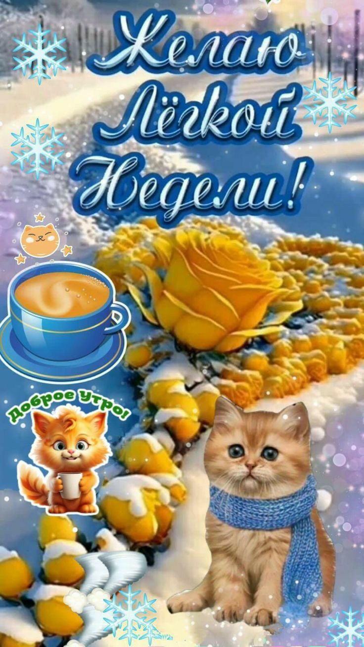 г Нз 49 П МъгыаЫМ