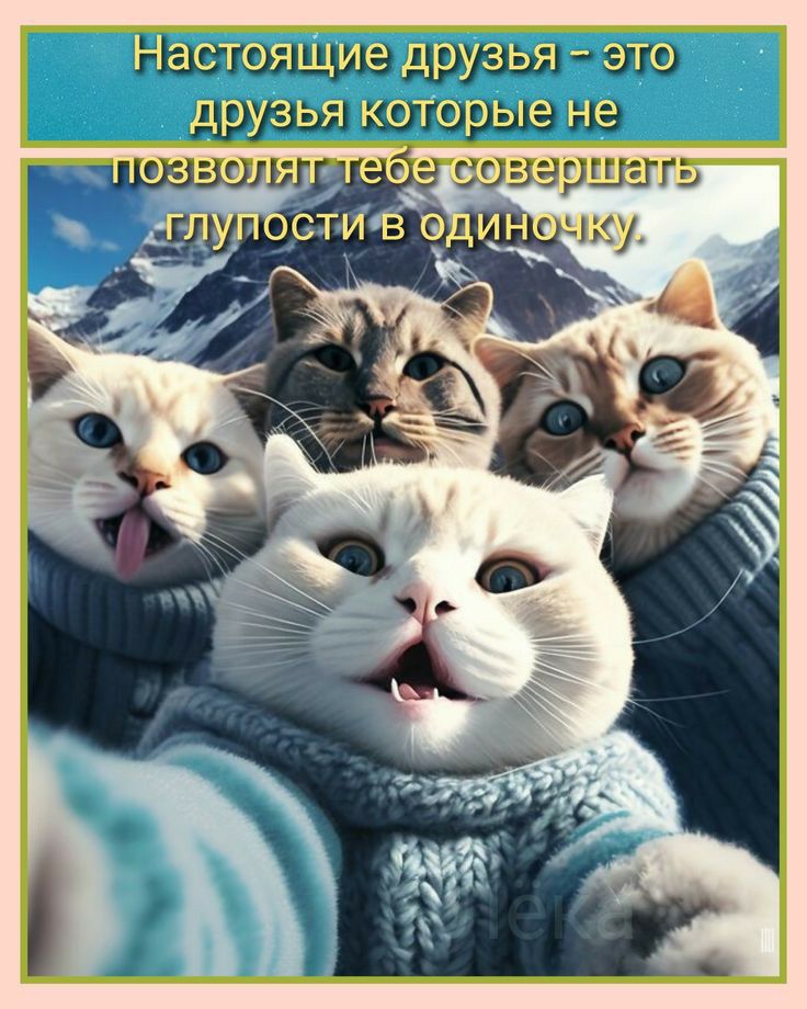 гшюящше мурзы ж движущую и