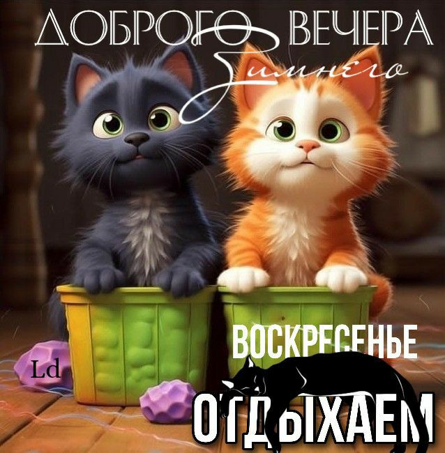 врскгггхньв отлоіхдвм