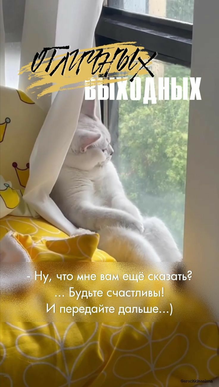 Будье и И перодайте дпяъшь