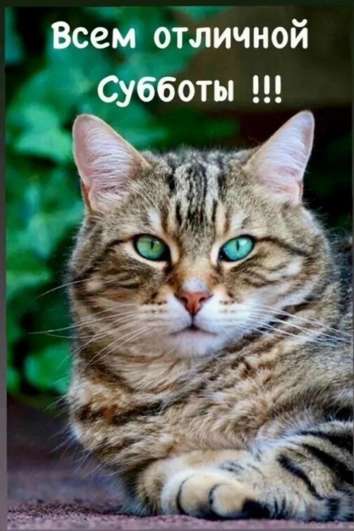 ем ОТЛИЧНО жесты И Ё