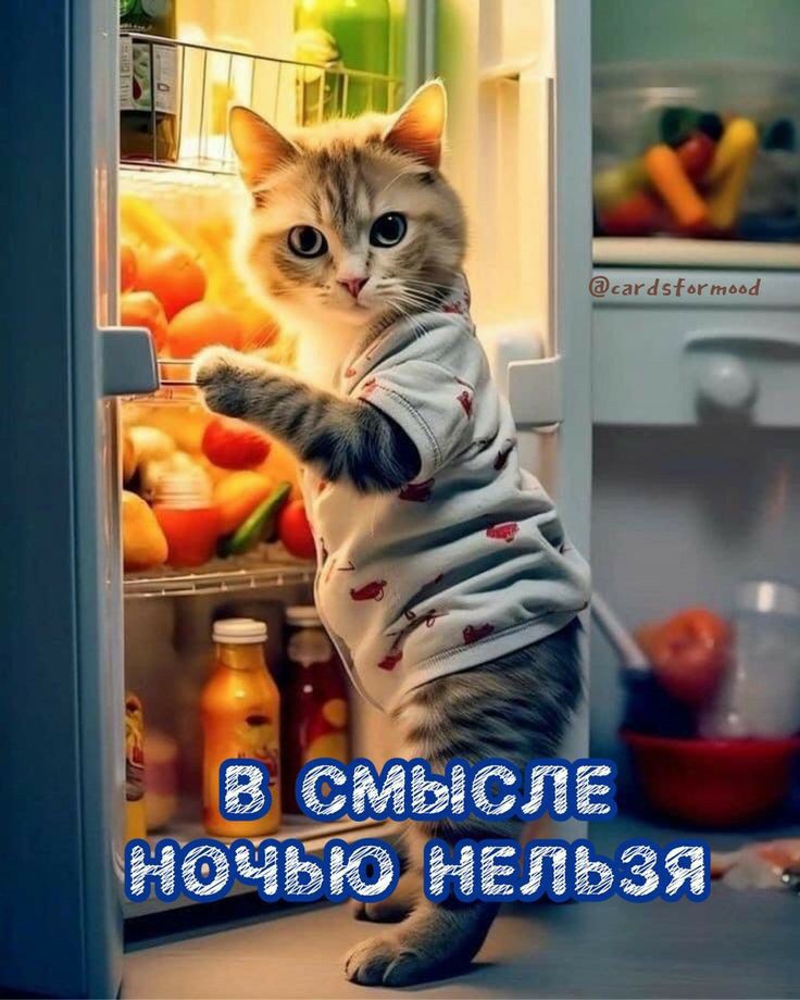 нельзяч я ечью Е Л С О В ЧЁ