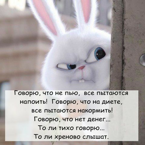 ОВОРЮ что не пью все пытаются напоить Говорю что на диете все пытаются накормить Говорю что нет денег ТО ЛИ ТИХ0 ГОВОРЮ То ли хреново слышат