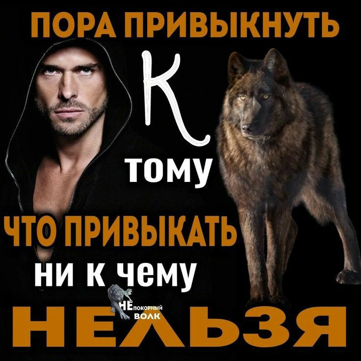 ПОРА ПРИВЫКНУТЬ ЧТ9 ПРИВЫКАТЬ ни к чему Н ЕЖЬЗЯ
