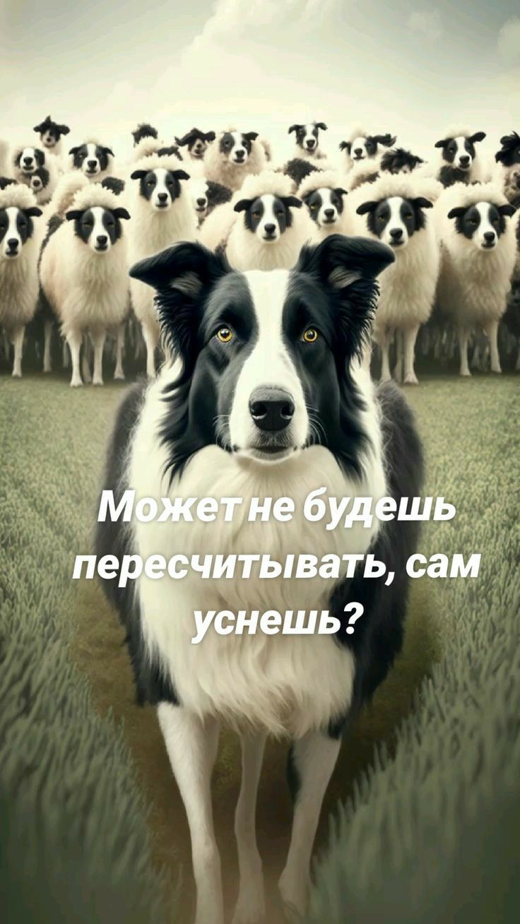 к мтол М ч 9 1 Ъ ч ее