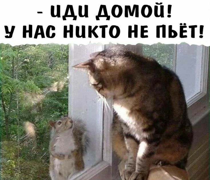 иди ДОМОЙ НАО НИКТО НЕ ПЬЁТ