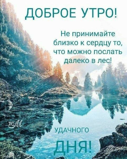 ДОБРОЕ УТРО Не принимайте близко к сердцу то что можно поспать далеко в лес УДАЧ Н ОГО НЯР