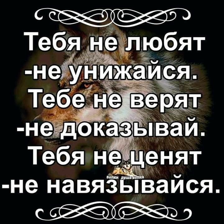 Тебя неіпдобят не_9 Тебя неденят не навяЁЁЁВайся