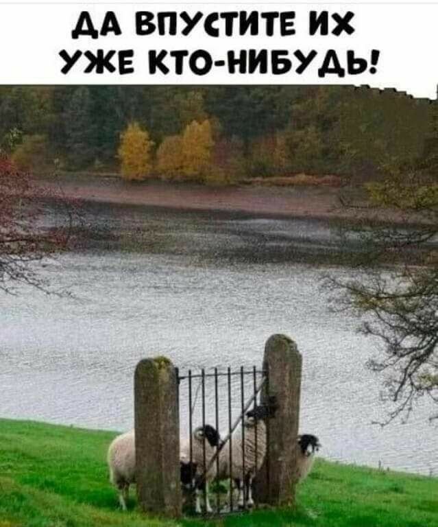 АА ВПУСТИТЕ ИХ УЖЕ КТО НИБУДЬ